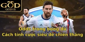 Odds trong bóng đá - Cách tính cược siêu dễ chiến thắng
