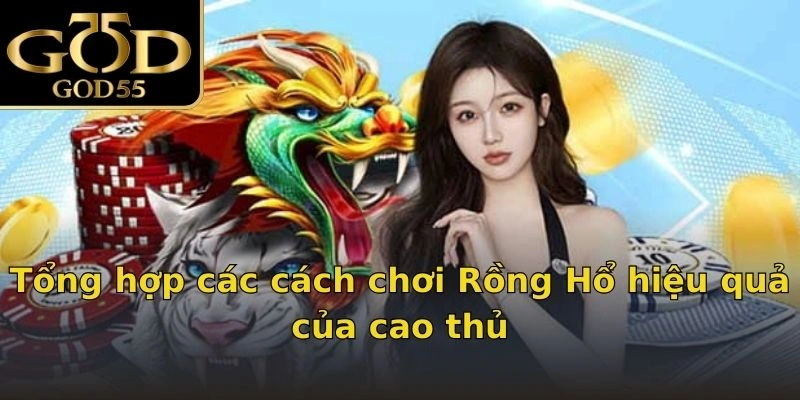 Tổng hợp các cách chơi Rồng Hổ hiệu quả của cao thủ